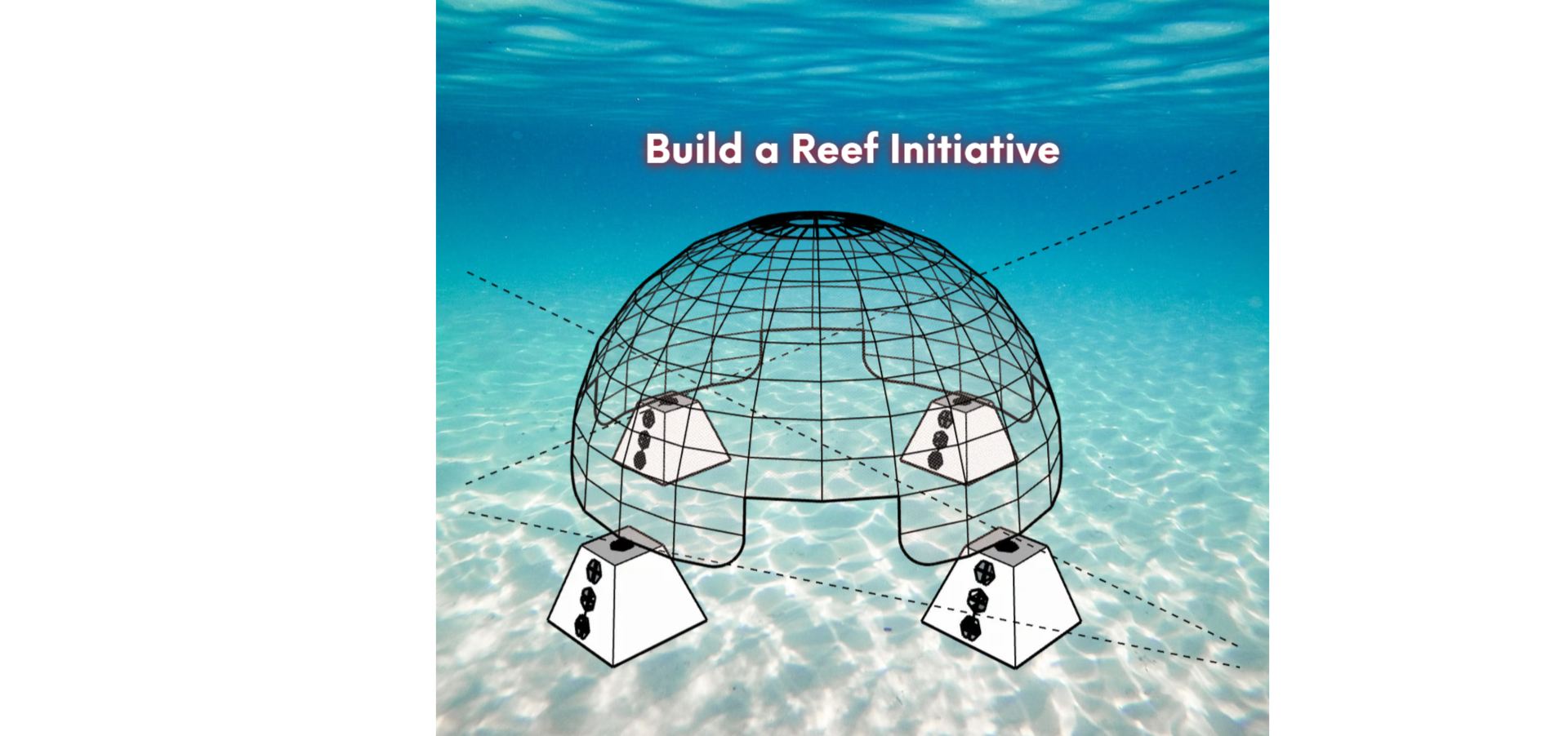 Build a Reef Initiative artificial reef concept